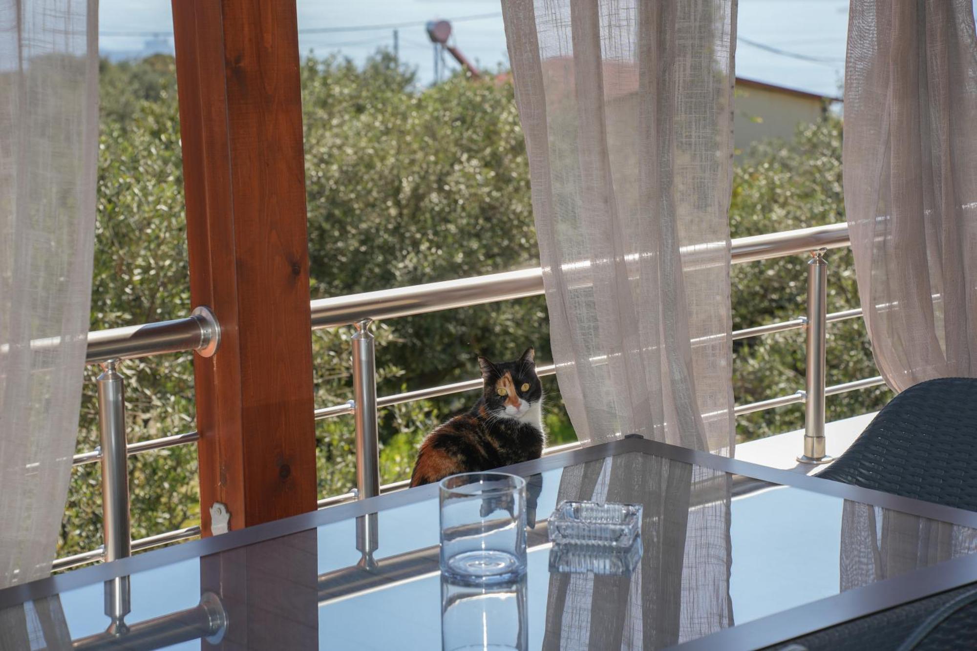 Sundaymar Stone House Apartman Hriszí Aktí Haniá Kültér fotó